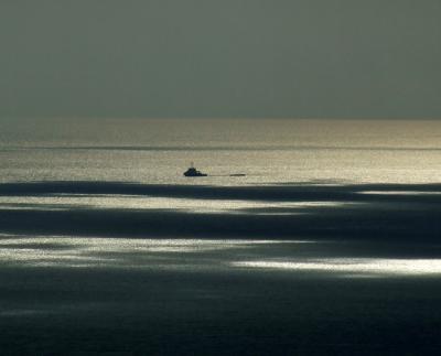 Прикрепленное изображение: DSCF6050.jpg